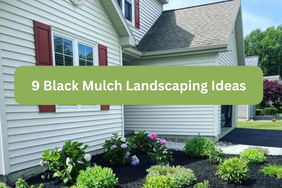 9 Black Mulch Landscaping Ideas